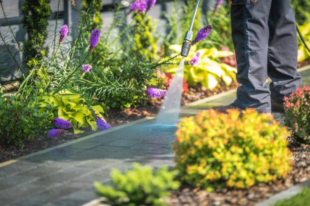 Best Sidewalk and Walkway Cleaning  in Madison, FL